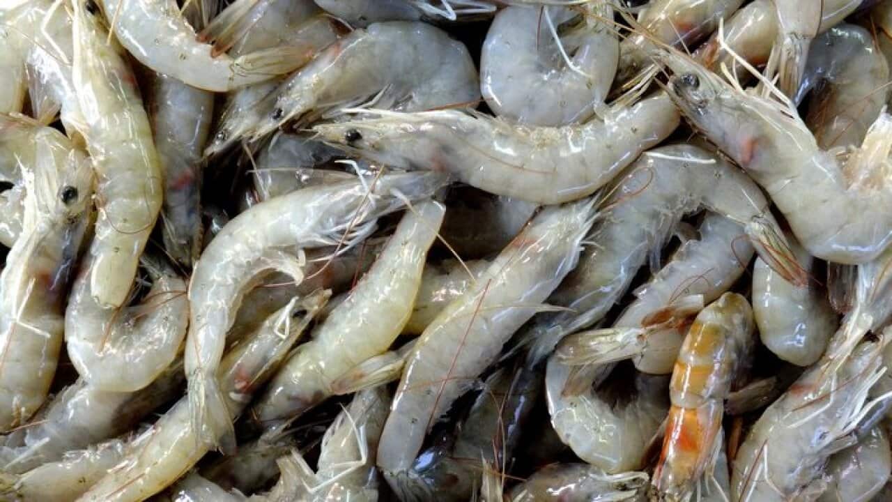 Prawns Flickr J Mark Dodds CC BY-NC-ND 2.0).jpg
