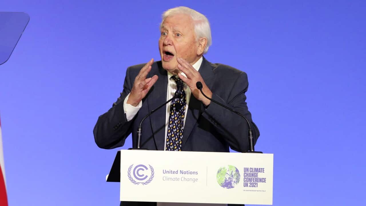 Sir David Attenborough at the opening ceremony of COP26 in Glasgow, UK