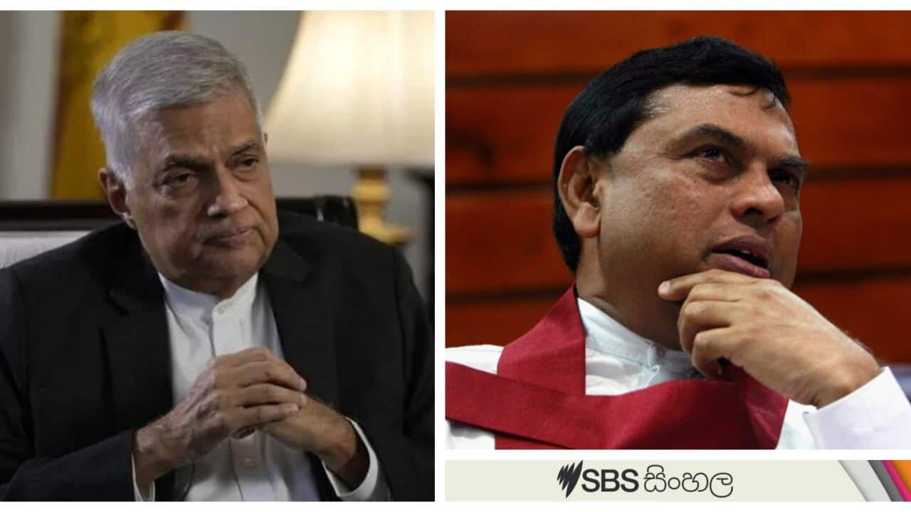 Sri Lankan president Ranil Wickramasinghe_ former minister Basil Rajapaksha