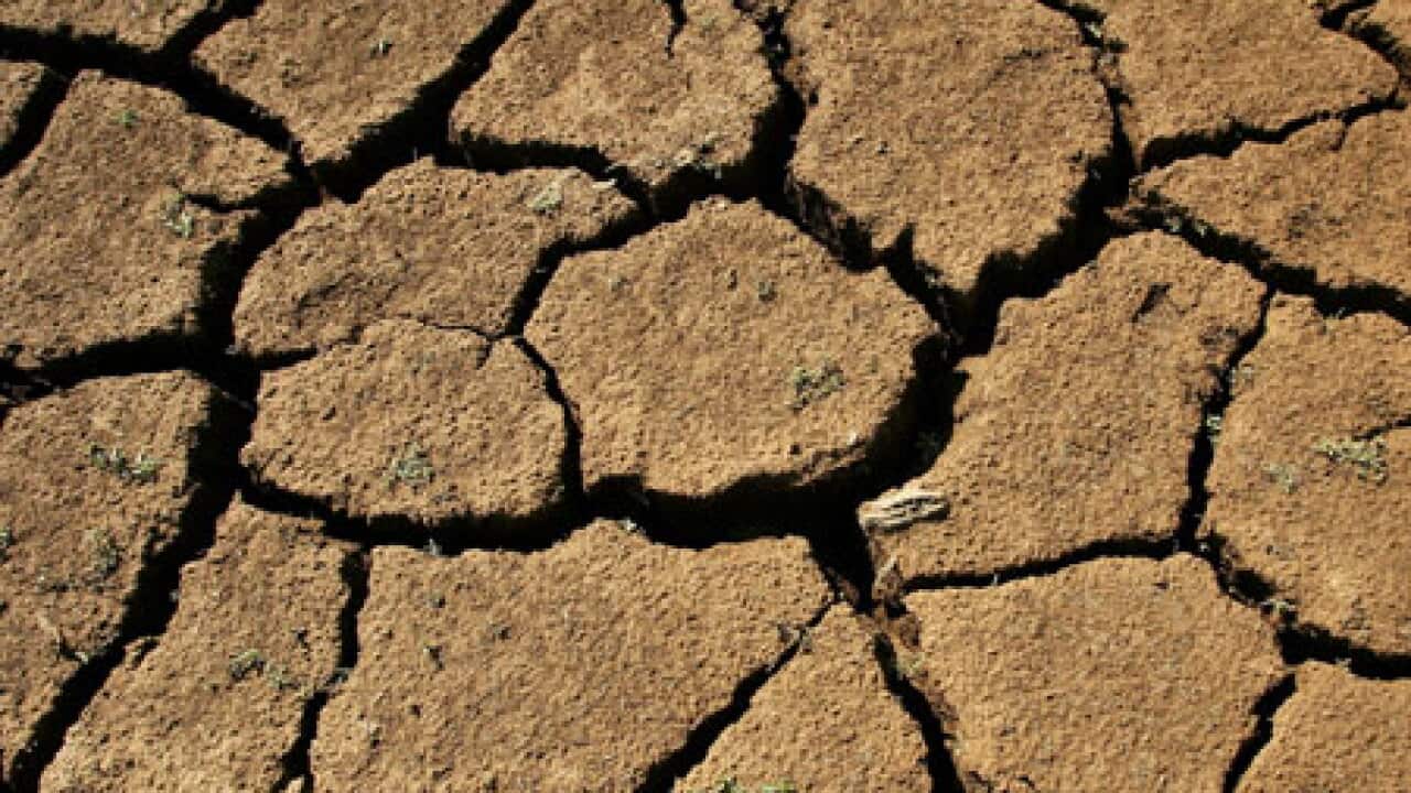 Drought-L-aap-getty_1474294878