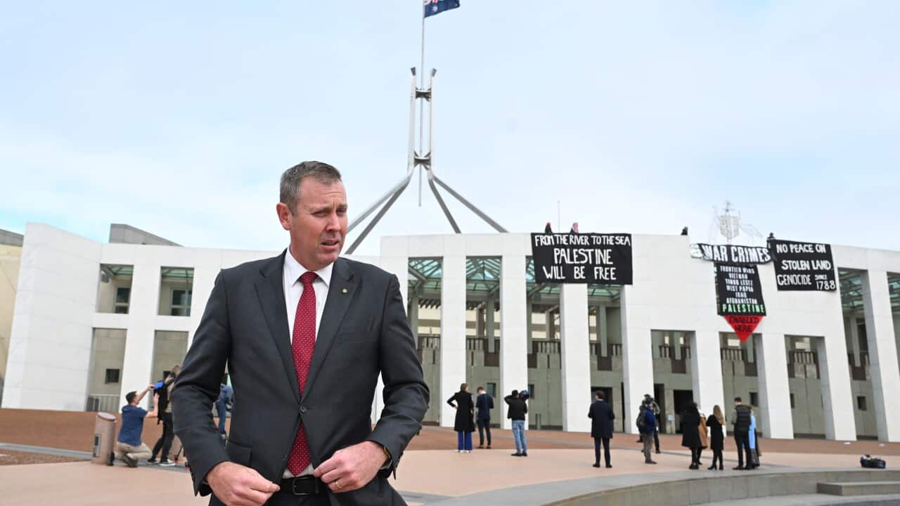 PARLIAMENT HOUSE PRO PALESTINE PROTEST
