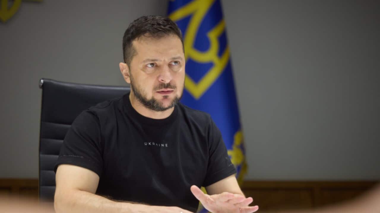 Ukrainian President V. Zelenskyy.jpeg