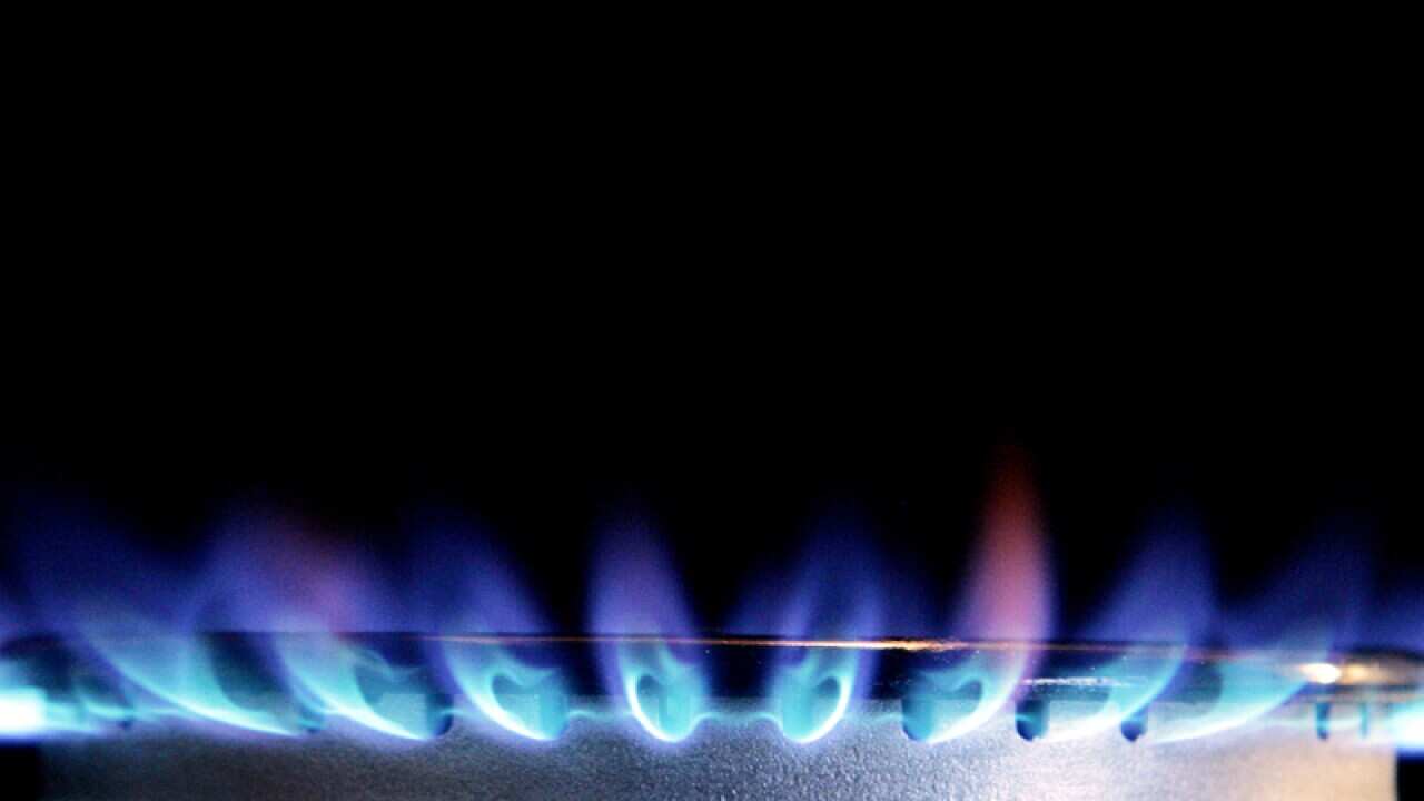 A gas hob