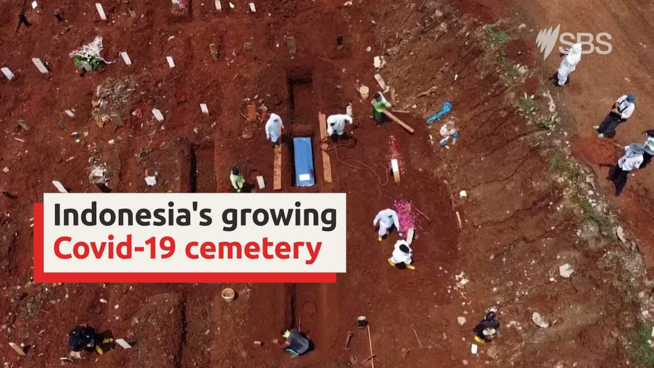 Drone footage of Indonesia's expanding cemetery due to Covid-19 deaths