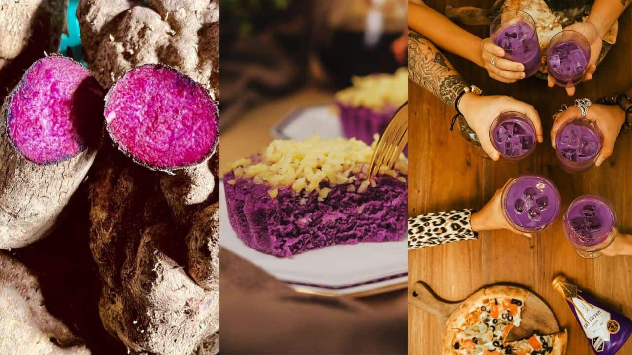 Image for read more article 'RELATED CONTENT'