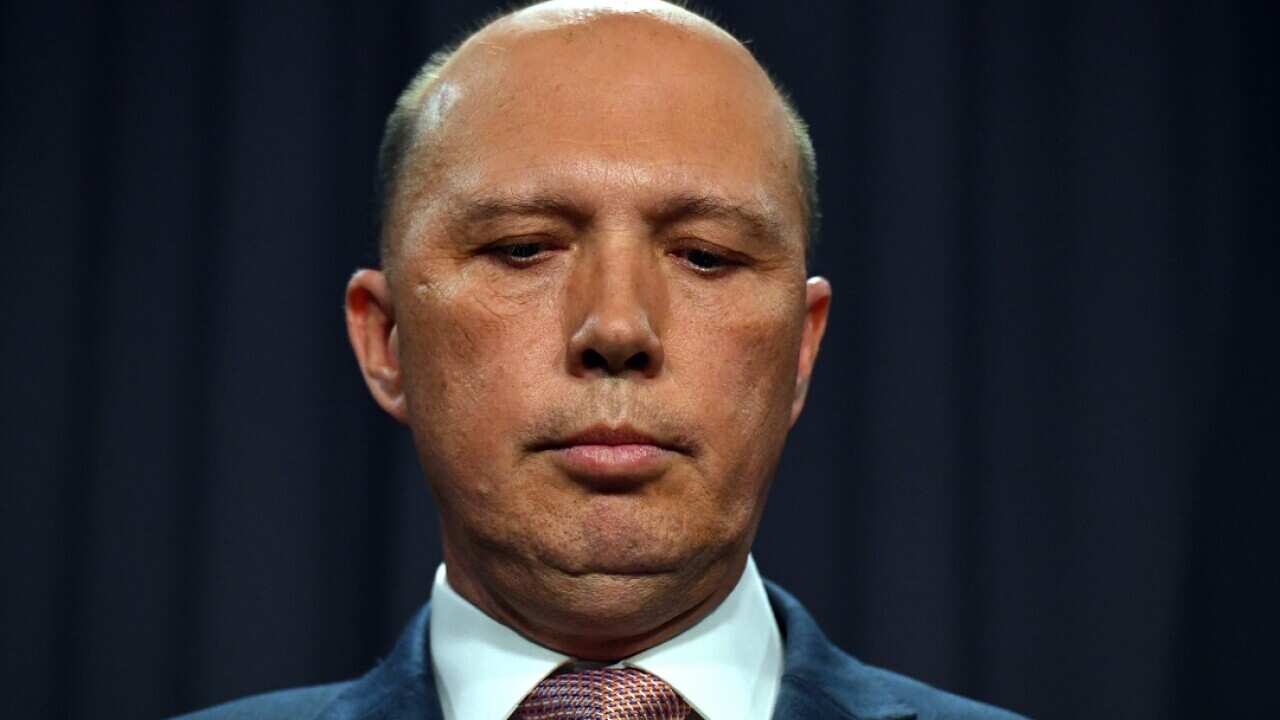 The final Senate report into the Peter Dutton au pair investigation has been released.