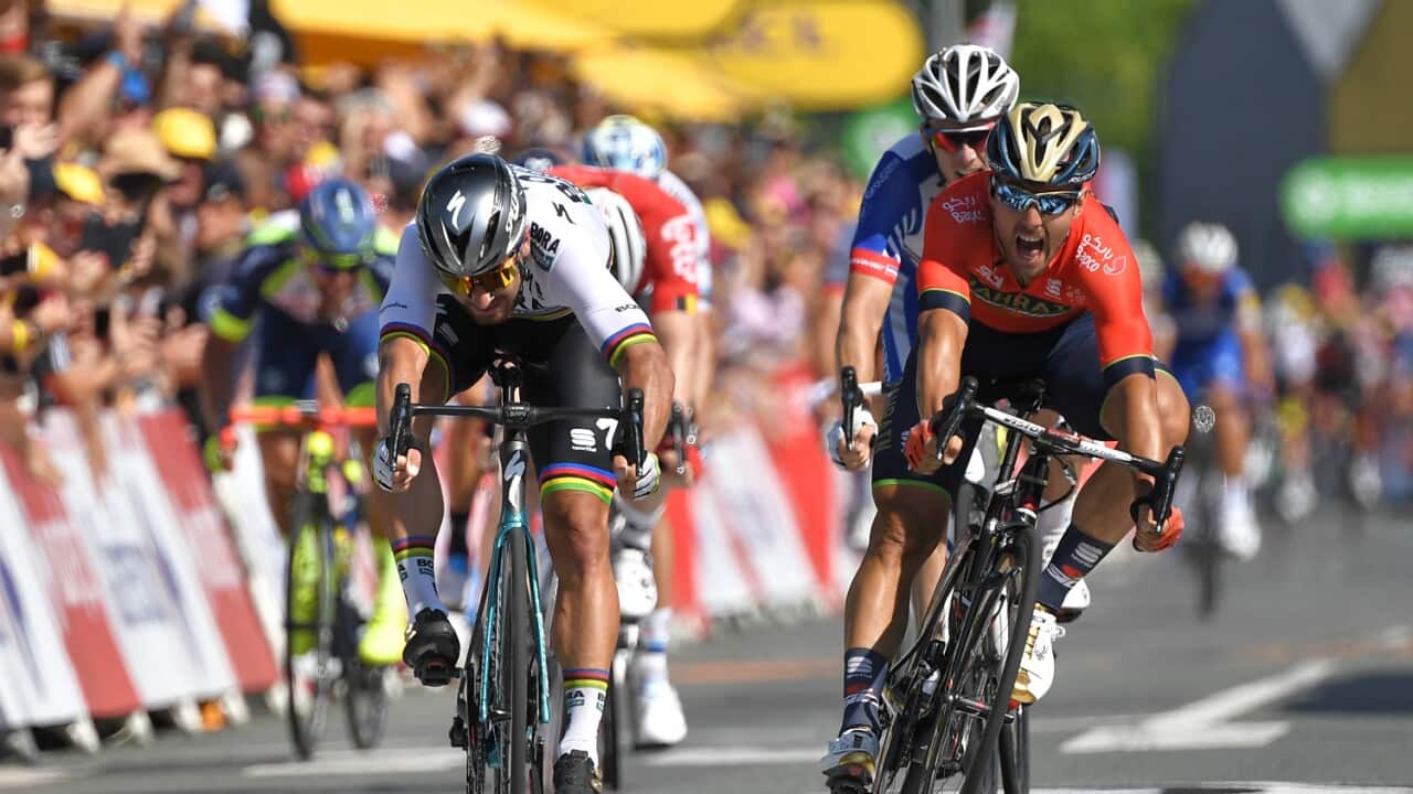 Peter Sagan, BORA-hansgrohe, Tour de France 2018