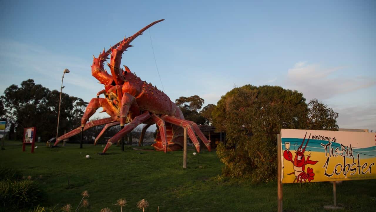Larry­, known as The Big Lobst­er, in Kings­ton South East, Austr­alia, Aug. 1, 2018.