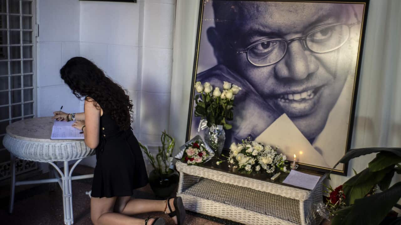 Image for read more article 'Lee también:'