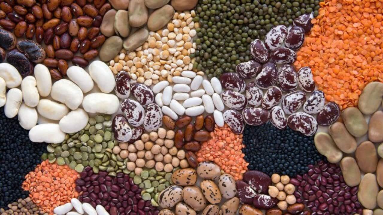 Borlotti beans, Cannellini beans, chickpeas, beans Azuky, Beluga black lentils, dried peas, beans, lentils red, Castelluccio lentils, beans Peacock, soya, Moong (Patrizia Savarese)