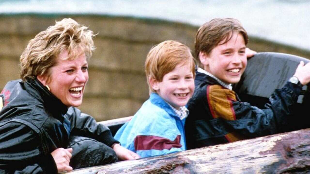 Princess Diana on a water ride with Harry and William in 1993.