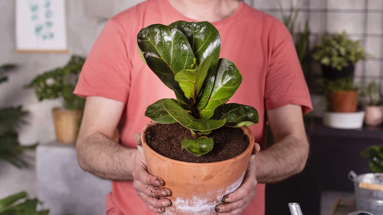 Image for read more article 'READ MORE'