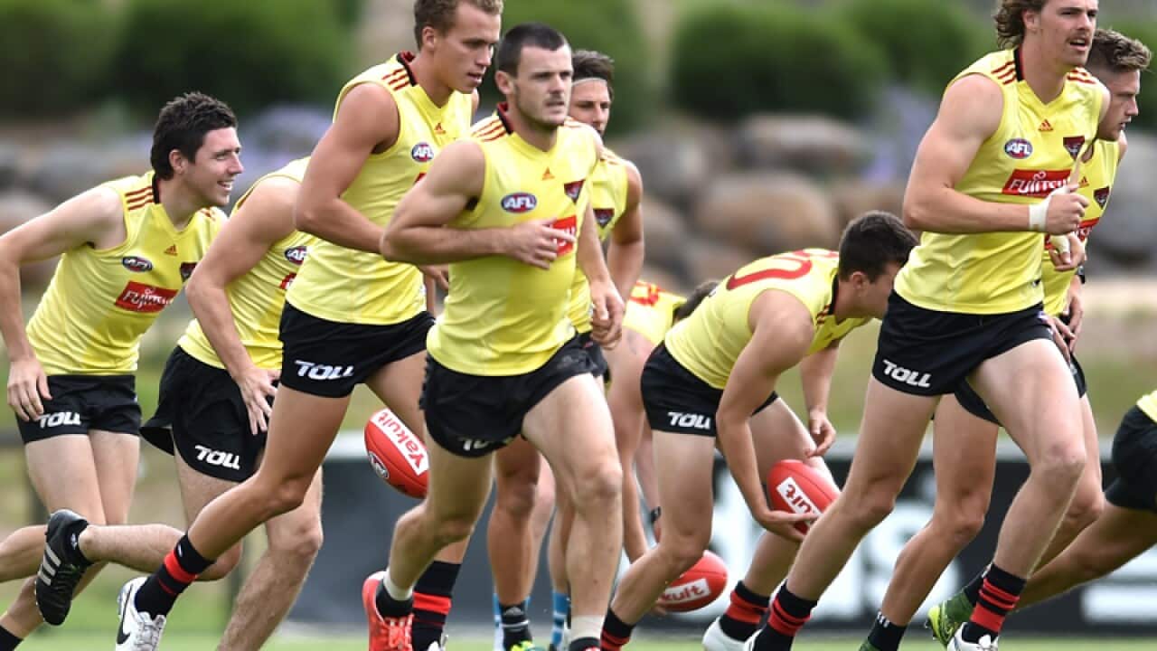 Essendon players during a training session