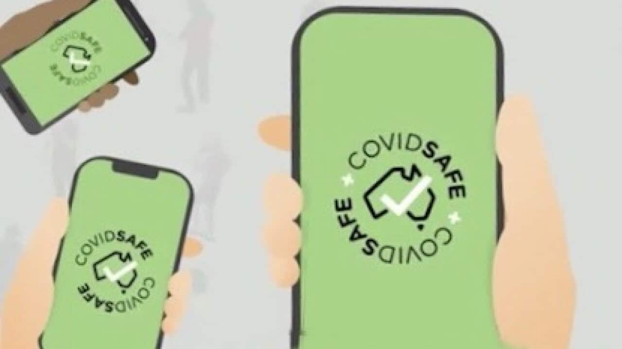 CovidSafe App, coronavirus