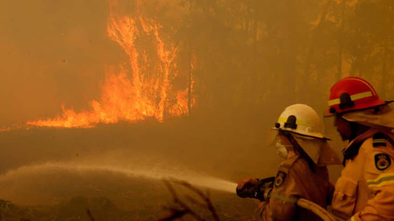 NSW Fires
