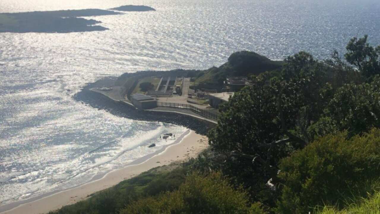 Three people have died at at Port Kembla after being washed into the surf.