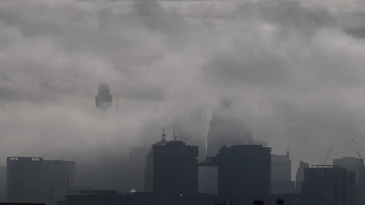 SYDNEY FOG