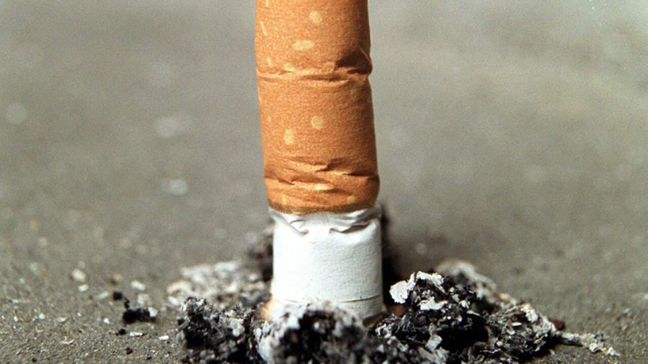 what is rap tobacco Snuff tobacco: uses, effects, and ancestral origins Cigarette solves 1984 Vic rape
