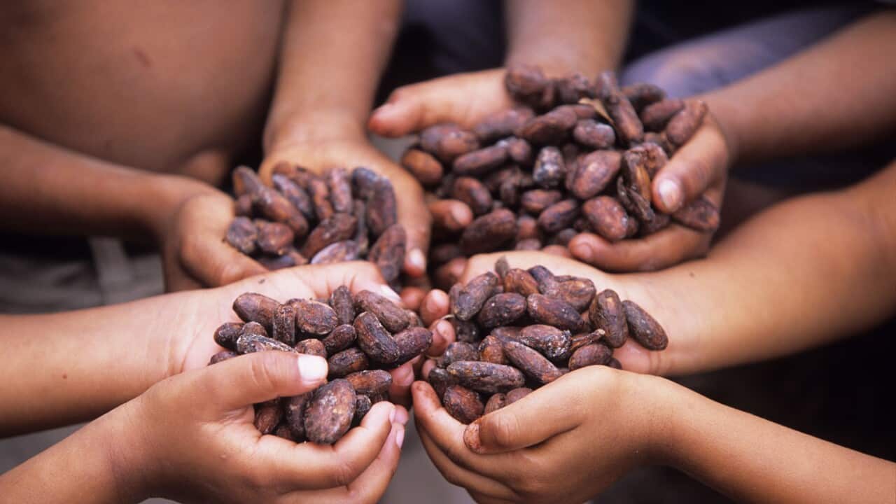 CADBURY FAIRTRADE CHOCOLATE