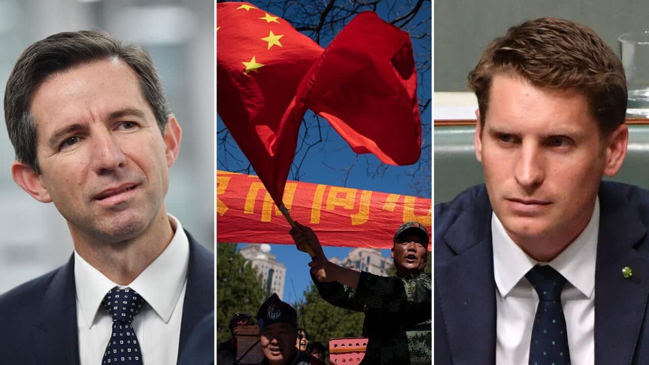 Government MPs Simon Birmingham and Andrew Hastie