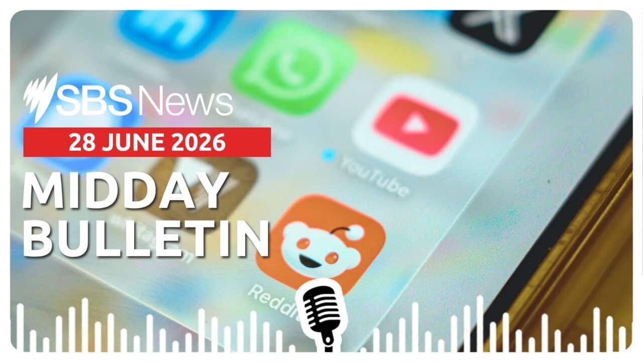 MIDDAY BULLETIN (1).jpg