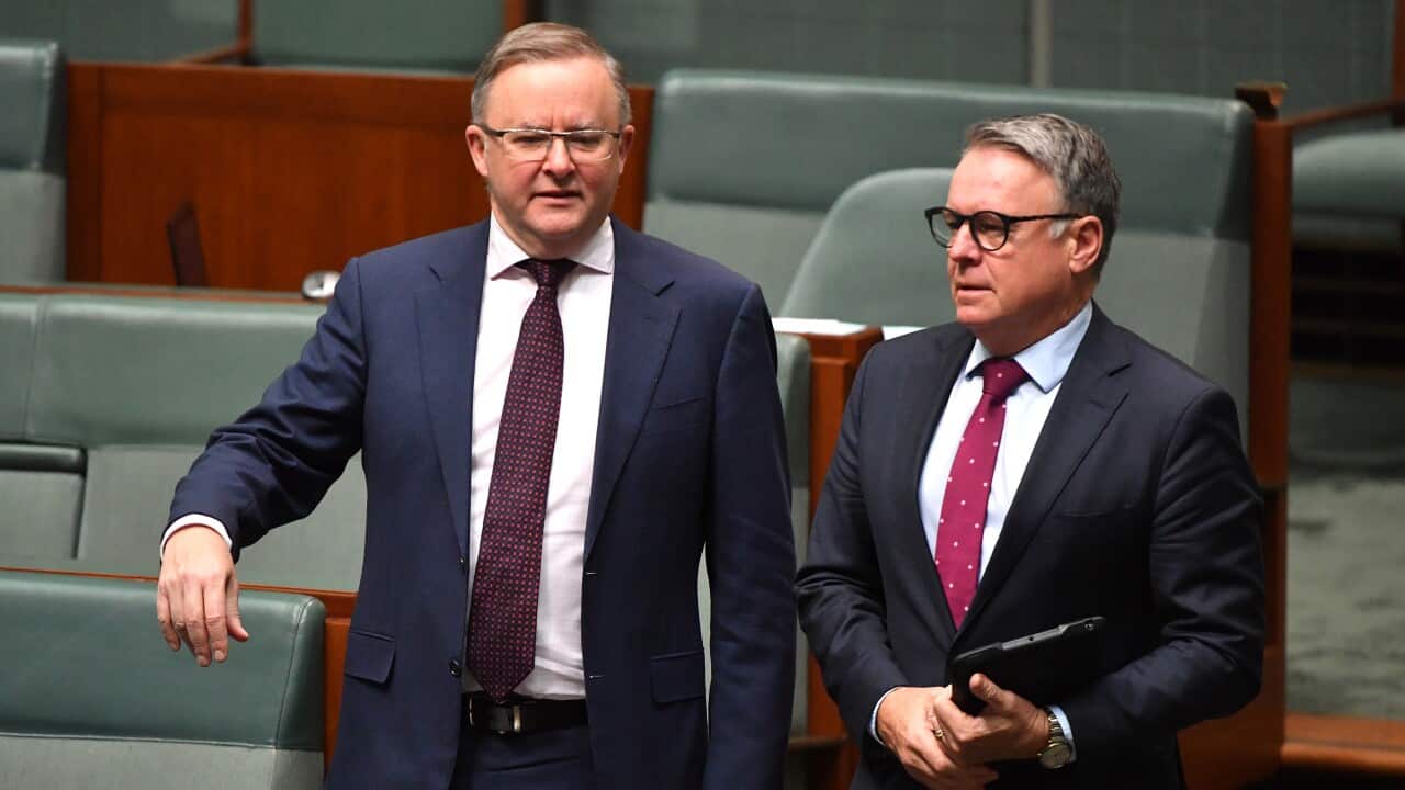 The government has been accused of failing to address the issue of quarantine in Australia, despite budget allocations - Leader of the Opposition Anthony Albanese and Shadow Minister for Agriculture Joel Fitzgibbon