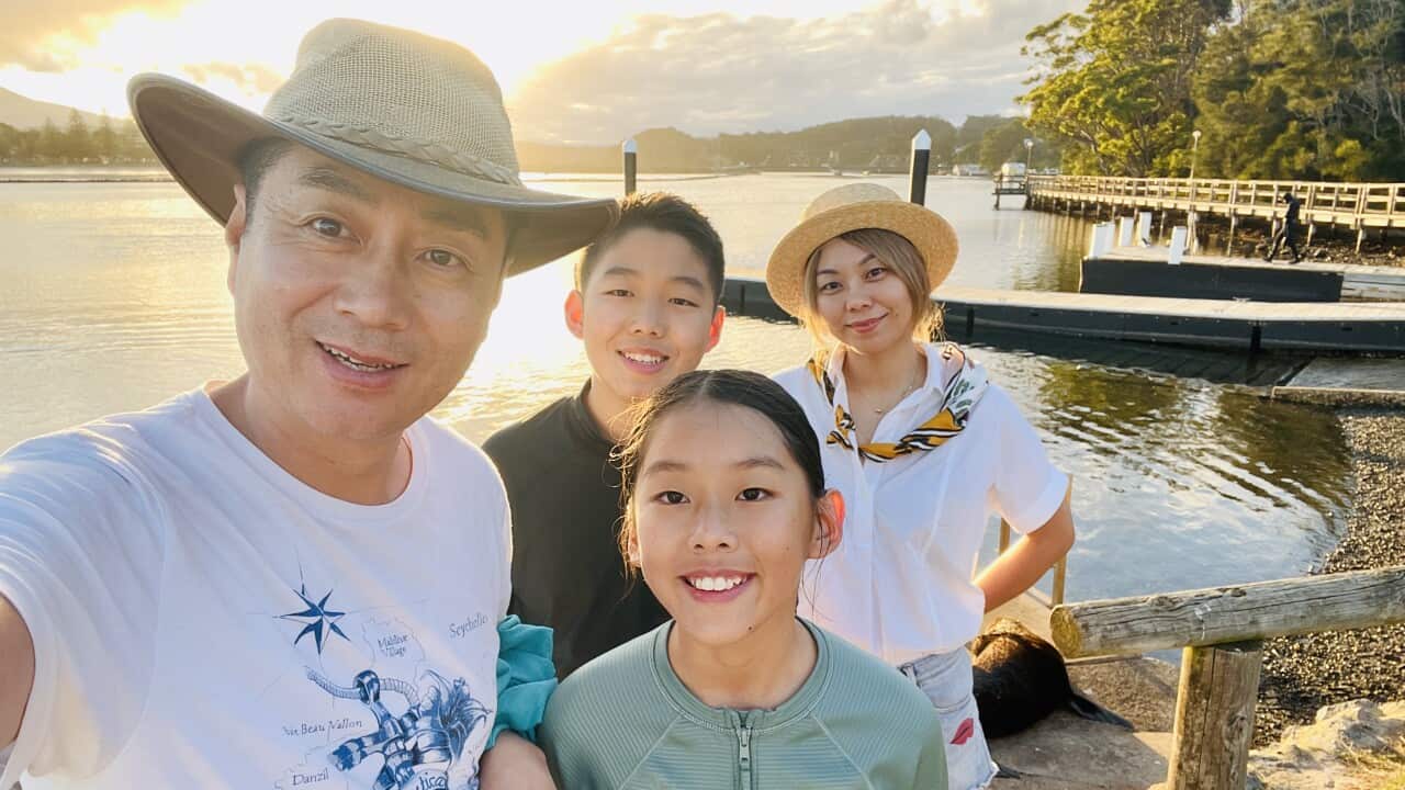 Image for read more article ''