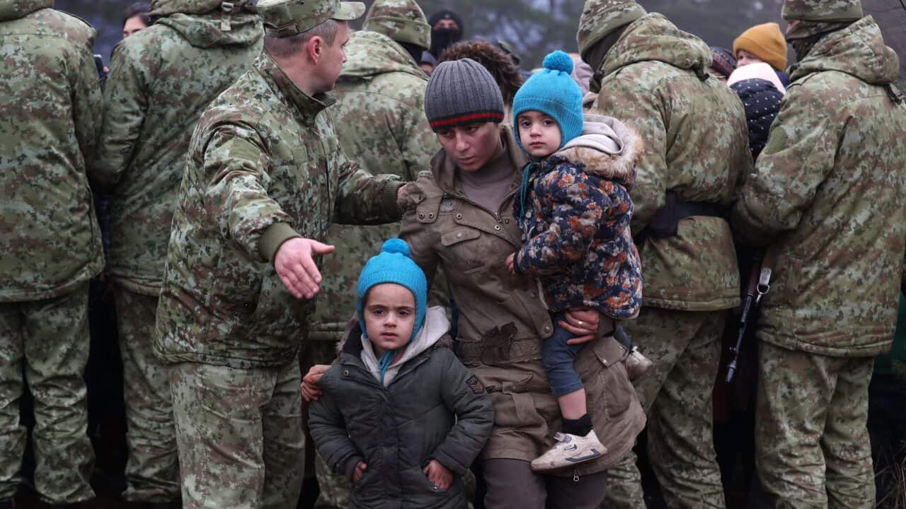 Migrants gather to receive humanitarian aid on the Belarusian-Polish border.