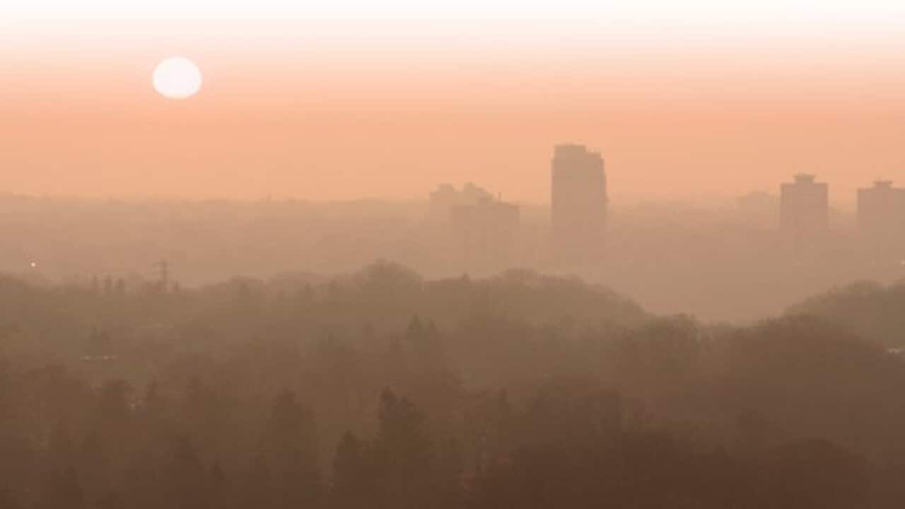 NSW Health is warning people with respiratory or heart conditions to stay indoors.