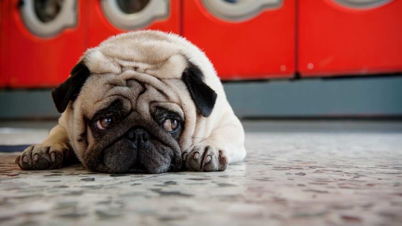 Image for read more article ''