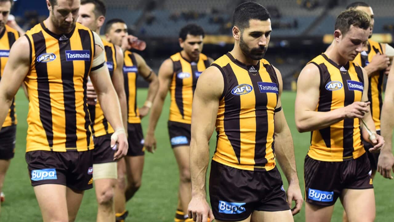 Hawthorn Hawks players