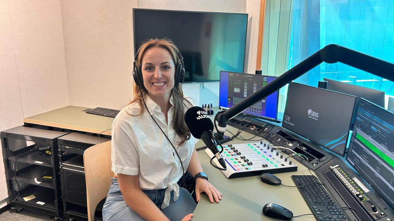 WhatsApp Image 2026-03-20 at 3.03.27 PM.jpeg