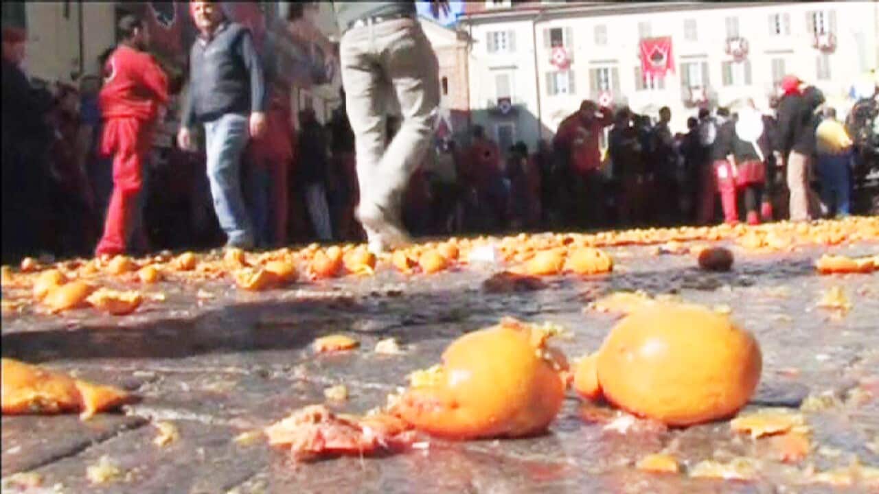 oranges.jpg