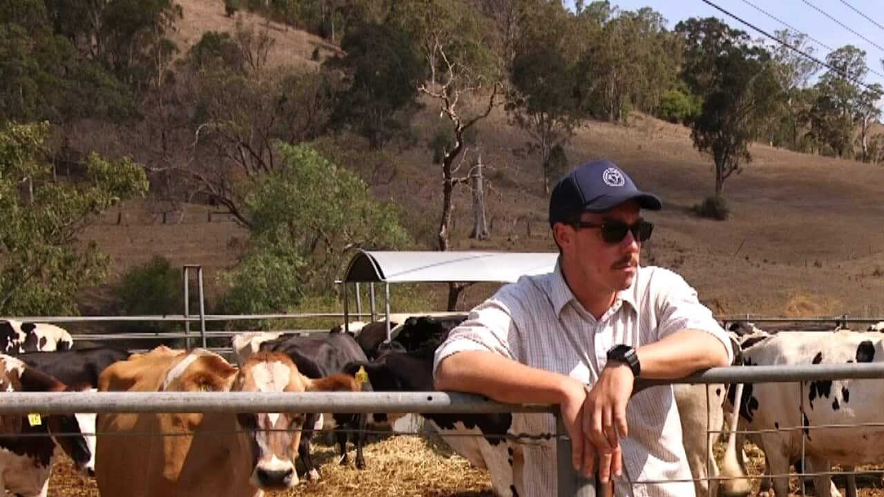 John Fairley (right), owner of Country Valley Milk.