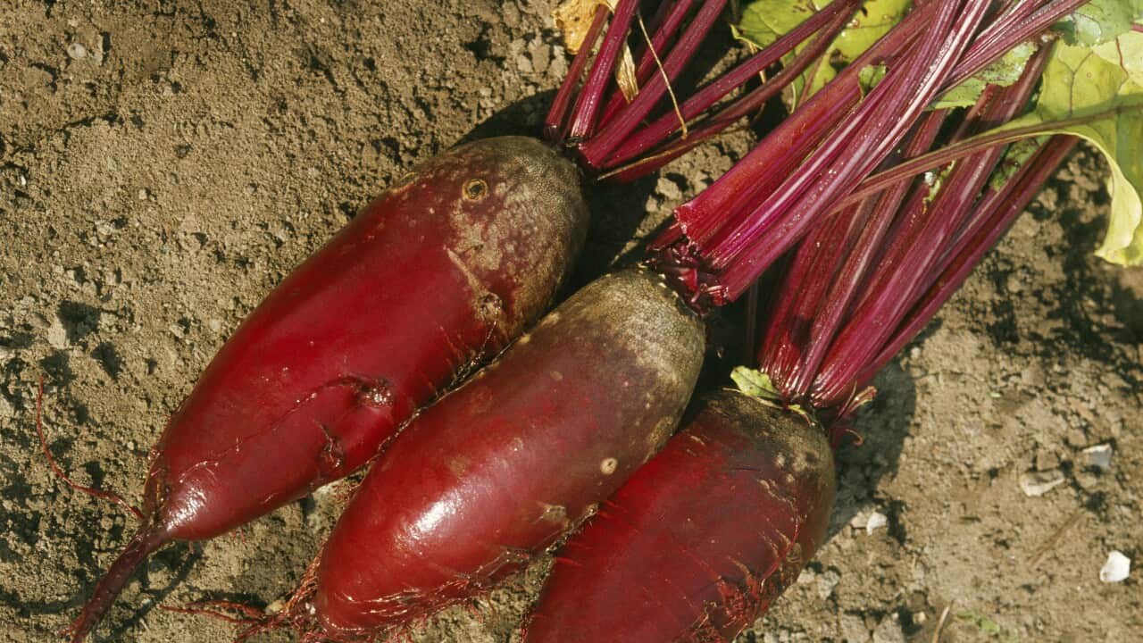 Image for read more article '更多內容'