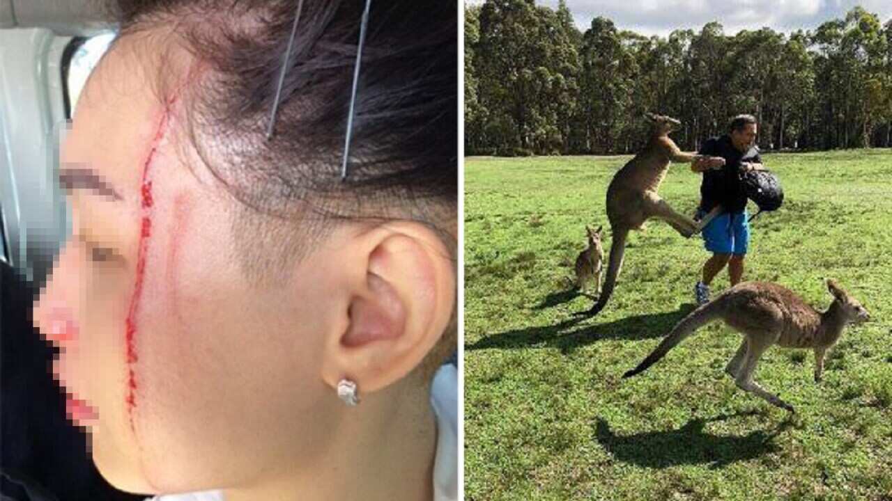 MP Greg Piper shared images of the attacks on Facebook.