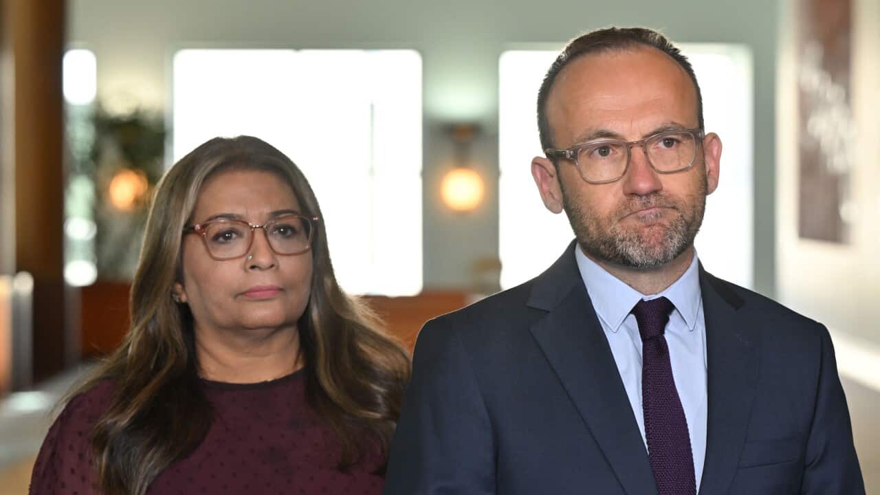 ADAM BANDT PRESSER