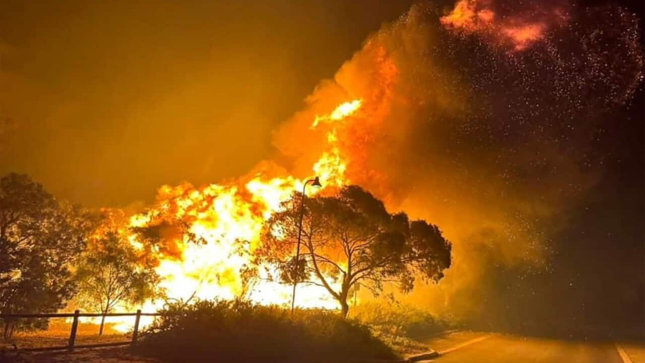 A bushfire in suburban Perth, WA, in November