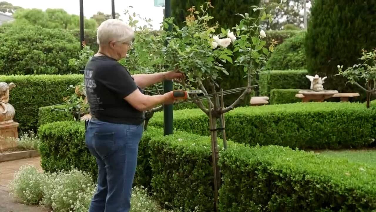 Image for read more article ''