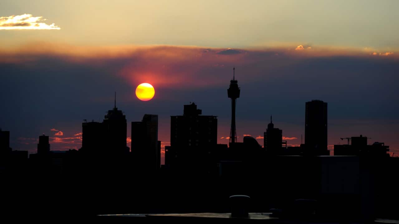 Sydney Clover Moore business vote