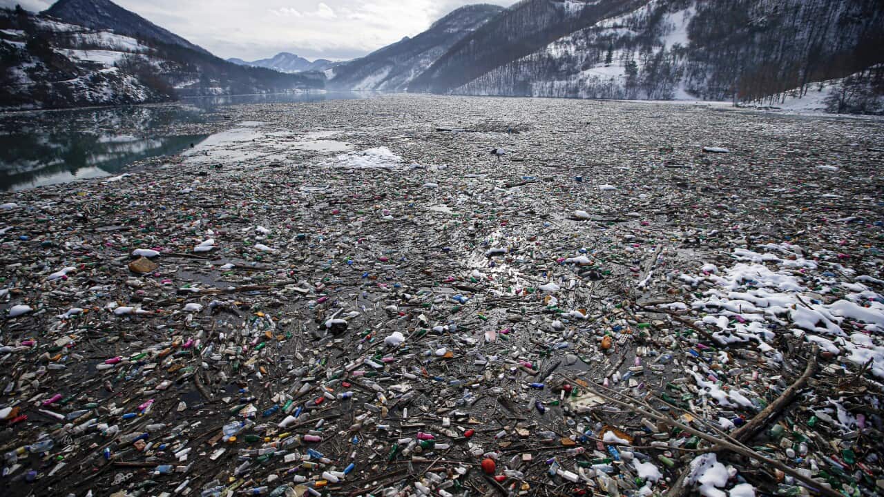 Plastic bottles and other garbage floats in the Potpecko lake near Priboj, in southwest Serbia
