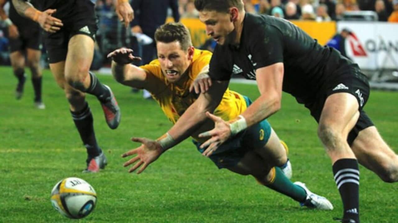 All Blacks crush Wallabies