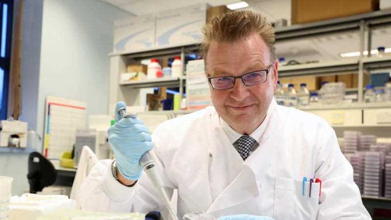 A newly discovered type of killer immune cell has raised the prospect of a "universal" cancer therapy, scientists say.