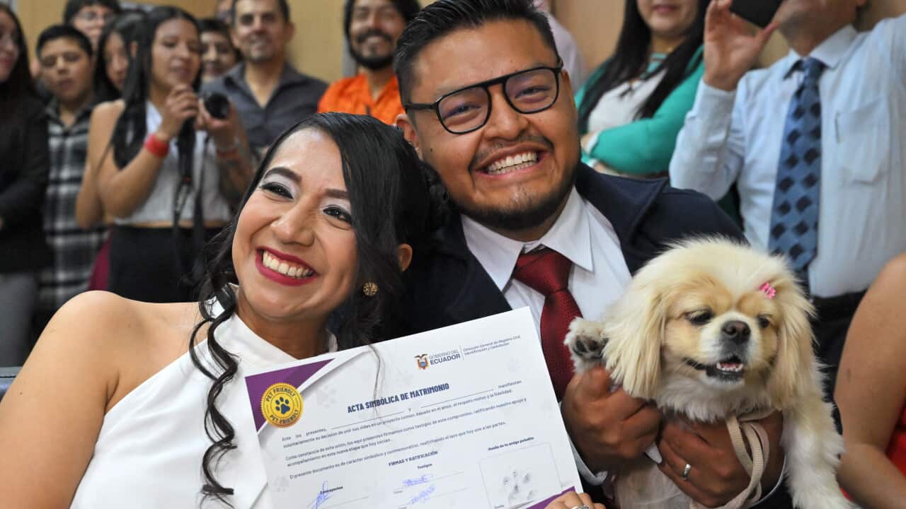 ECUADOR-WEDDING-PET-FRIENDLY