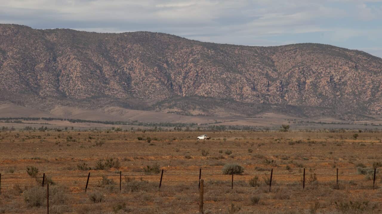 Autumn in rural South Australia around Hawker.
