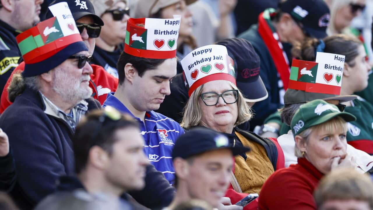 NRL RABBITOHS KNIGHTS