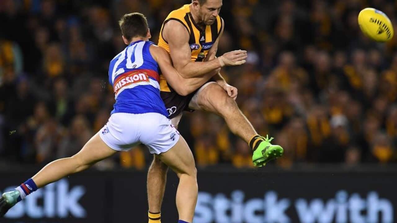 Luke Hodge of the Hawks