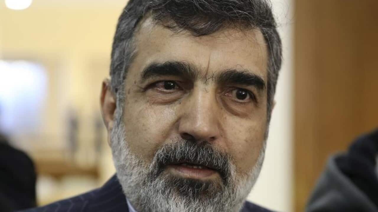 Spokesman for Iran's atomic agency Behrouz Kamalvandi