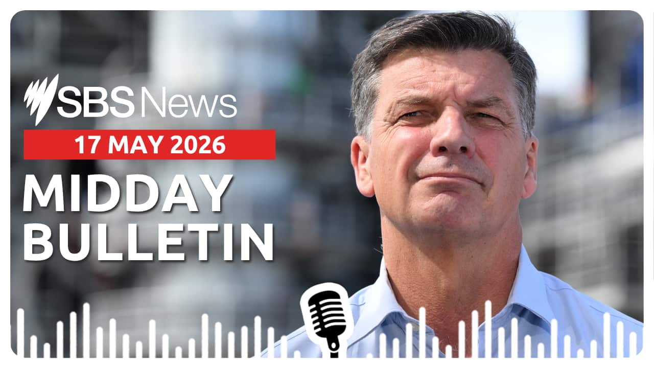 MIDDAY BULLETIN.png