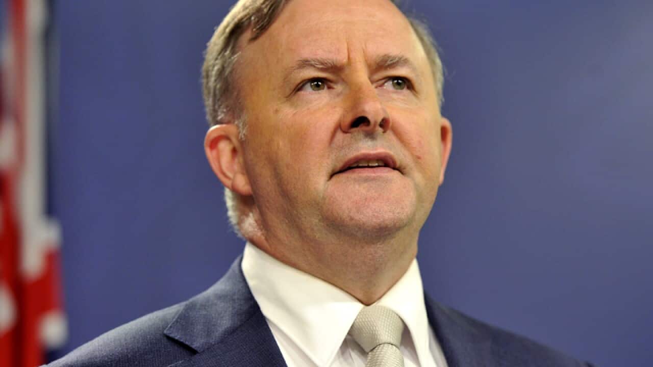 Anthony Albanese.